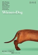 Wiener-Dog poster image