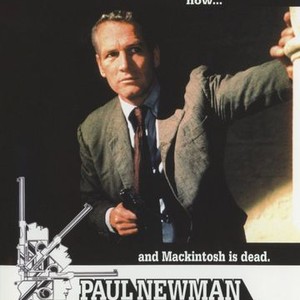 The Mackintosh Man (1973) photo 13
