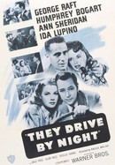 They Drive by Night poster image