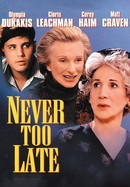 Never Too Late poster image