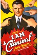 I Am a Criminal poster image