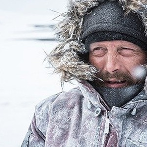 A scene from "Arctic." photo 19