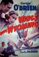 Wings Over Wyoming poster image
