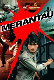 Watch trailer for Merantau