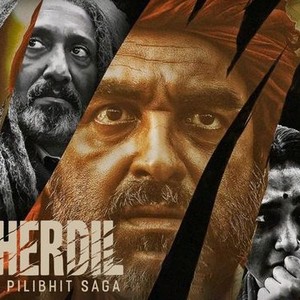 Sherdil The Pilibhit Saga Rotten Tomatoes