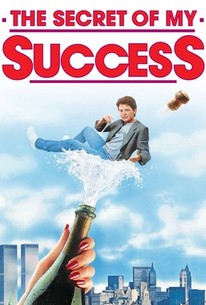 The Secret of My Success poster