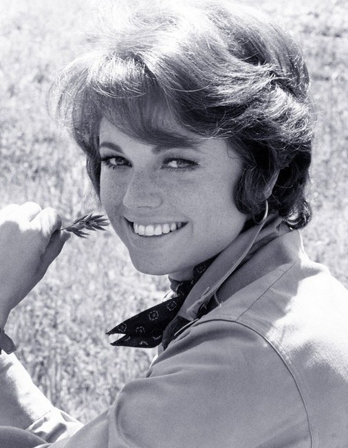 Jo Ann Pflug