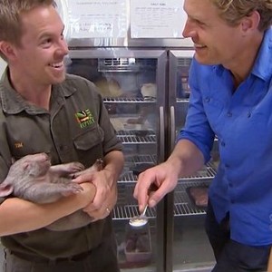 Dr. Chris: Pet Vet