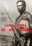 Ganga Zumba poster image