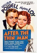 After the Thin Man poster image