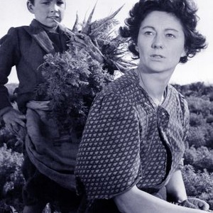 No Resting Place (1951) photo 2