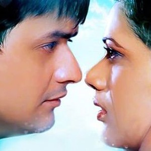 2 PREMI PREMACHE visual data 4