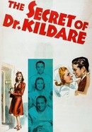 The Secret of Dr. Kildare poster image