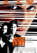 Unlawful Entry poster image