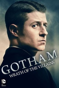 Gotham: Season 2 poster image