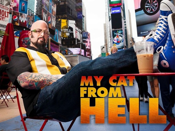 My cat from hell posey the terror clearance