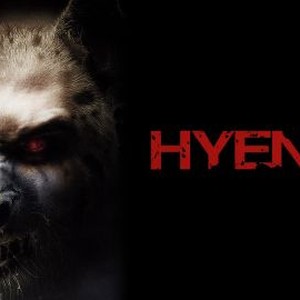 "Hyenas photo 4"
