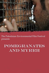 Watch trailer for Pomegranates and Myrrh