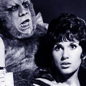 The Curse of the Werewolf (1961) photo 13
