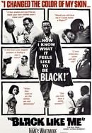 Black Like Me poster image