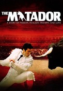 The Matador poster image