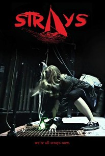 Strays (2015) | Rotten Tomatoes