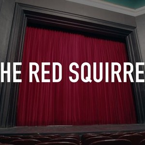The Red Squirrel photo 1