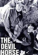 The Devil Horse poster image