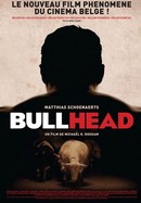 Bullhead poster image