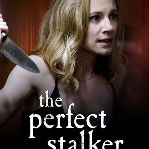 The Perfect Stalker (2016)