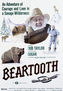 Beartooth poster image