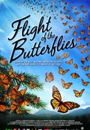 Flight of the Butterflies poster image