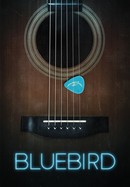 Bluebird poster image