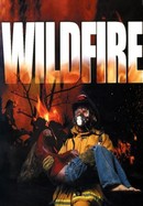 Wildfire poster image