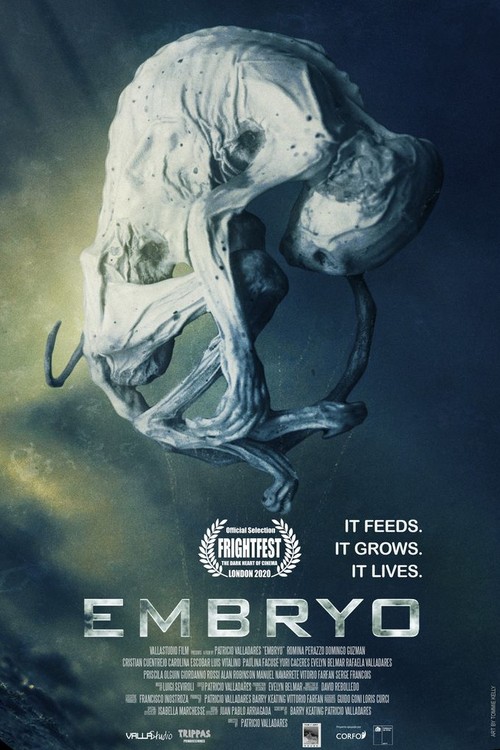 Embryo poster