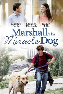 Poster for Marshall the Miracle Dog