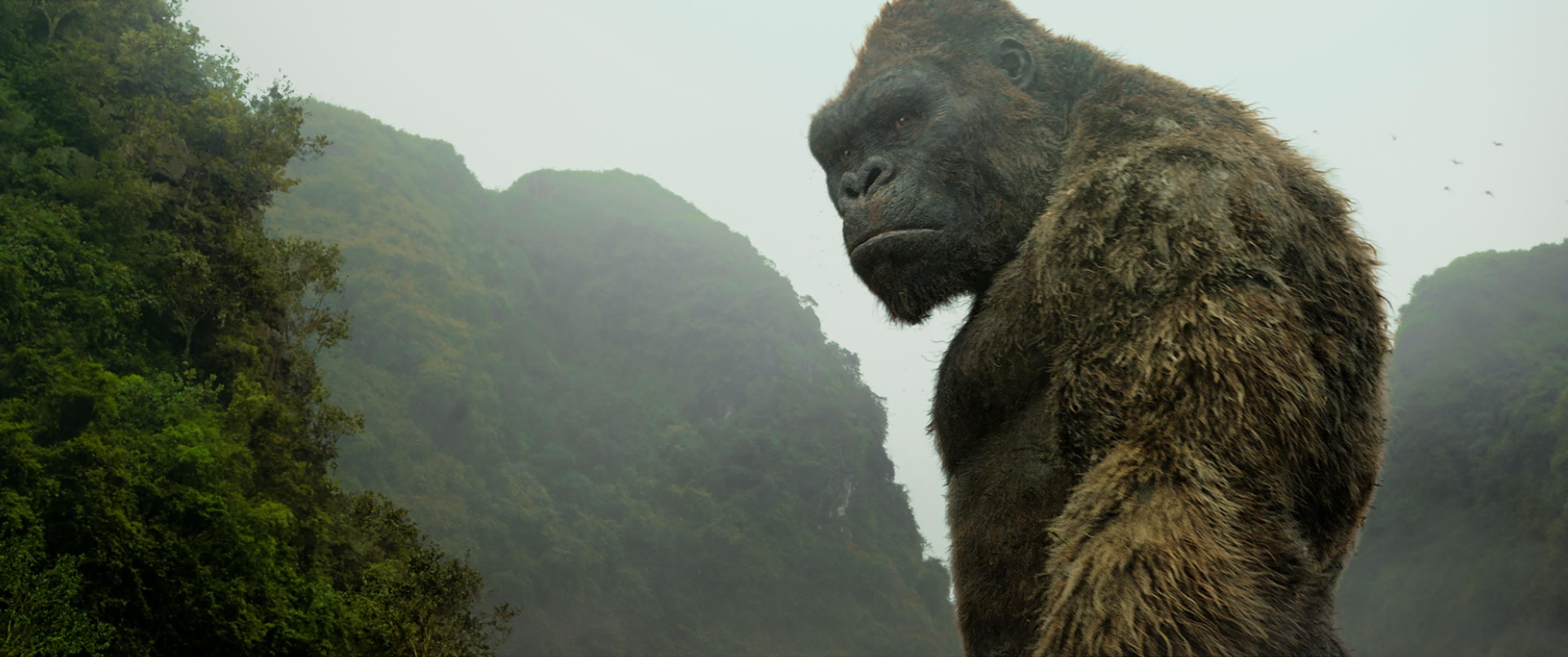 "Kong: Skull Island photo 16"