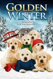 Download Golden Winter (2012) - Rotten Tomatoes