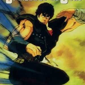 Fist of the top north star netflix