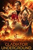 Poster for