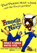 Francis in the Navy poster image