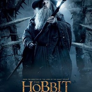 The Hobbit: The Desolation of Smaug photo 20