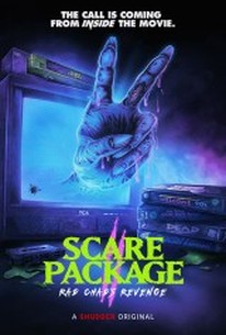 Scare Package II: Rad Chad's Revenge poster image
