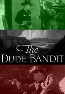 The Dude Bandit poster image