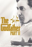 The Godfather, Part II poster image