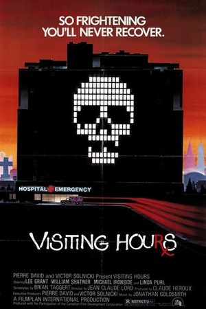 Visiting Hours poster