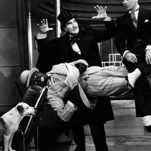 Hypnotized Rotten Tomatoes