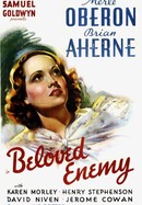 Beloved Enemy poster image