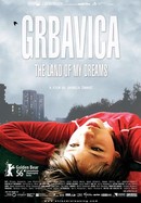 Grbavica: The Land of My Dreams poster image