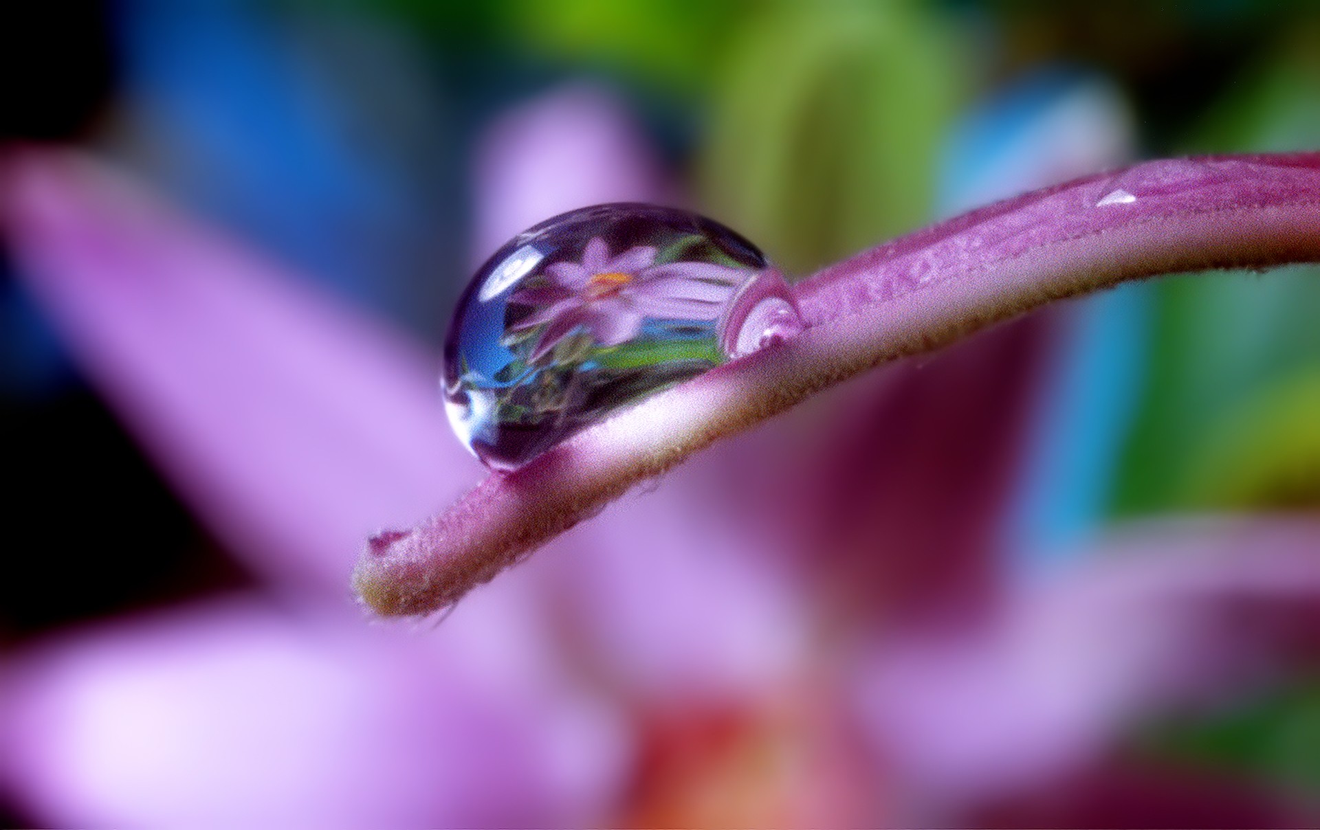 Gratitude Revealed Trailer 1 Trailers & Videos Rotten Tomatoes